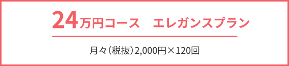 24万円コース　エレガンスプラン